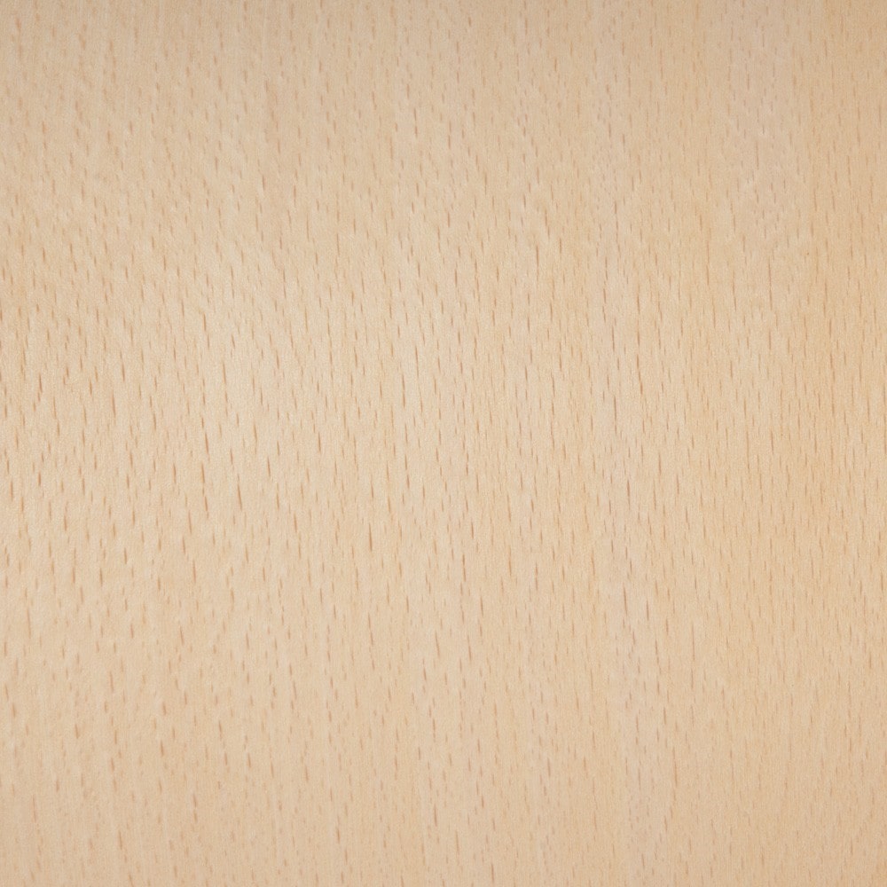 Beech wood چوب راش