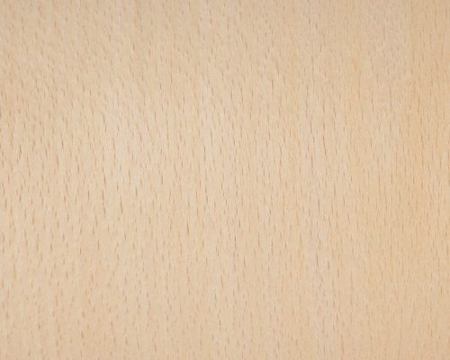 Beech-wood.jpg Beech-wood.jpg